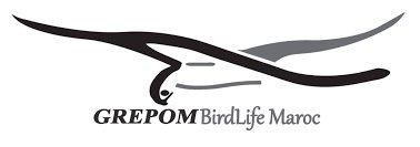 Groupe de Recherche pour la Protection des Oiseaux au Maroc (GREPOM / BirdLife Maroc)