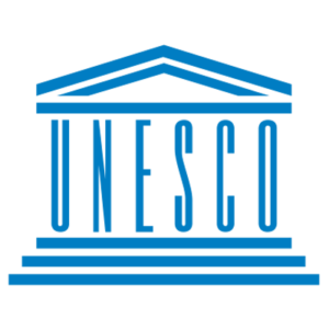 Conseiller/Conseillère spécial(e) auprès du Directeur général