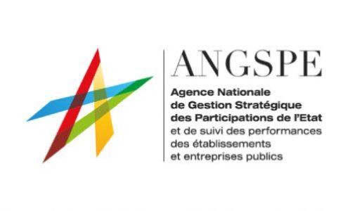 L’ANGSPE publie son rapport 2024-2025 sur les participations de l’État